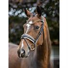 Bridle LeMieux Dressage Kudos Patent Brown-White