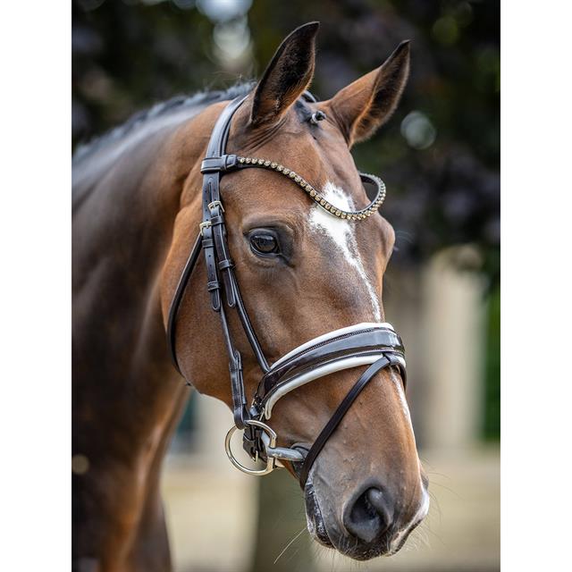 Bridle LeMieux Dressage Kudos Patent Brown-White