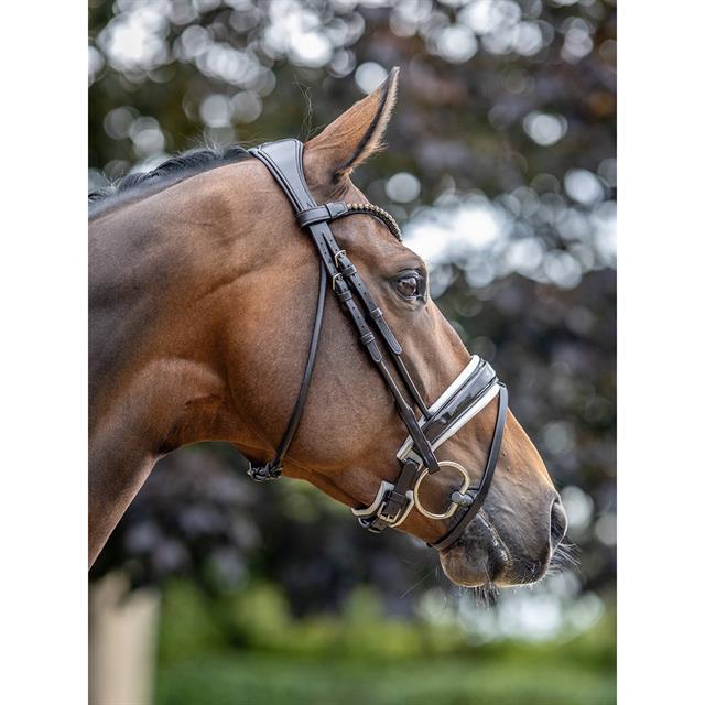 Bridle LeMieux Dressage Kudos Patent Brown-White