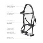Bridle LeMieux Kudos Clear Arc Black-Silver