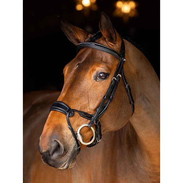 Bridle LeMieux Kudos Clear Arc Black-Silver