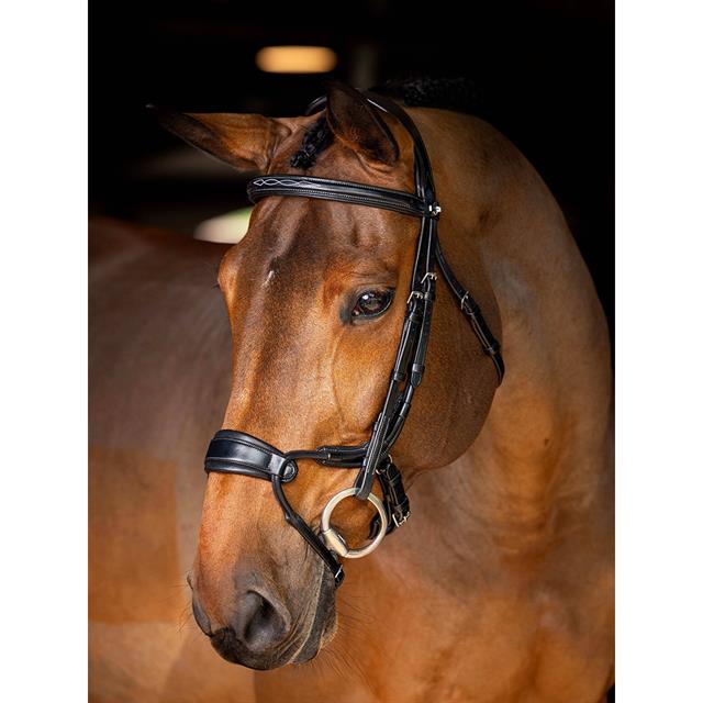 Bridle LeMieux Kudos Clear Arc Black-Silver