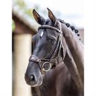 Bridle LeMieux Kudos Clear Arc Brown-Gold