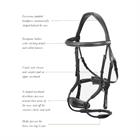 Bridle LeMieux Kudos Clear Arc Brown-Gold