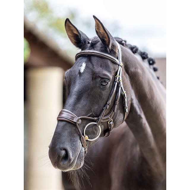 Bridle LeMieux Kudos Clear Arc Brown-Gold