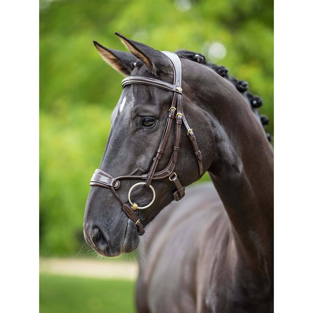 Bridle LeMieux Kudos Clear Arc Brown-Gold