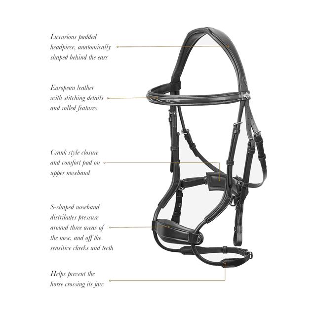 Bridle LeMieux Kudos Clear Arc Brown-Gold