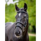 Bridle LeMieux Kudos Double Noseband Black-Silver