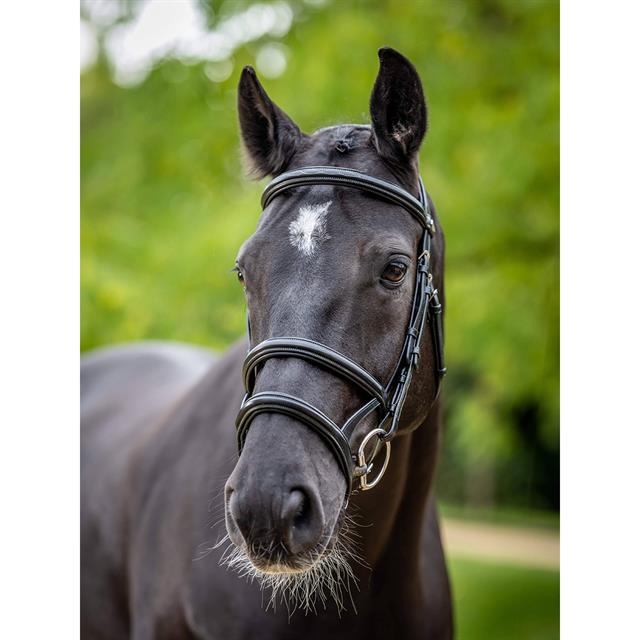 Bridle LeMieux Kudos Double Noseband Black-Silver