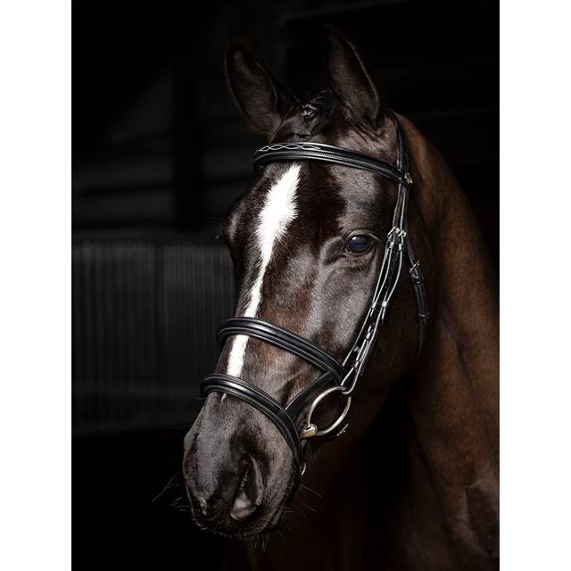 Bridle LeMieux Kudos Double Noseband Black-Silver