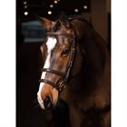 Bridle LeMieux Kudos Double Noseband Brown-Gold