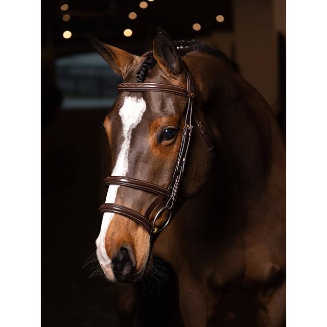 Bridle LeMieux Kudos Double Noseband Brown-Gold