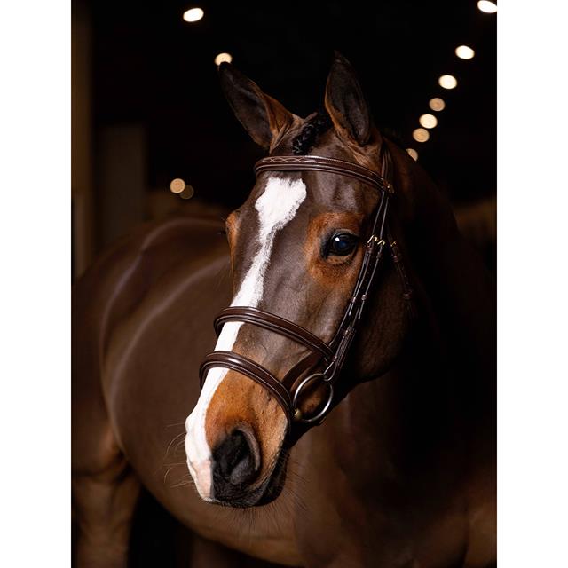 Bridle LeMieux Kudos Double Noseband Brown-Gold