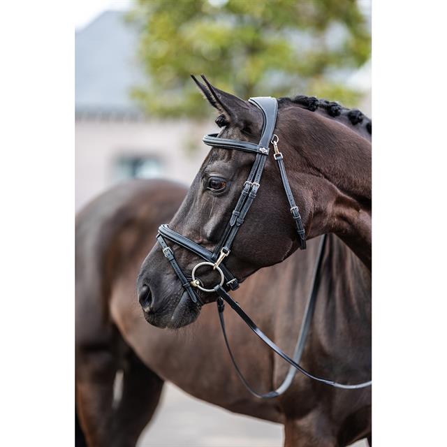 Bridle LeMieux Work Black