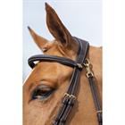 Bridle LeMieux Work Brown