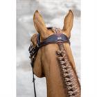 Bridle LeMieux Work Brown