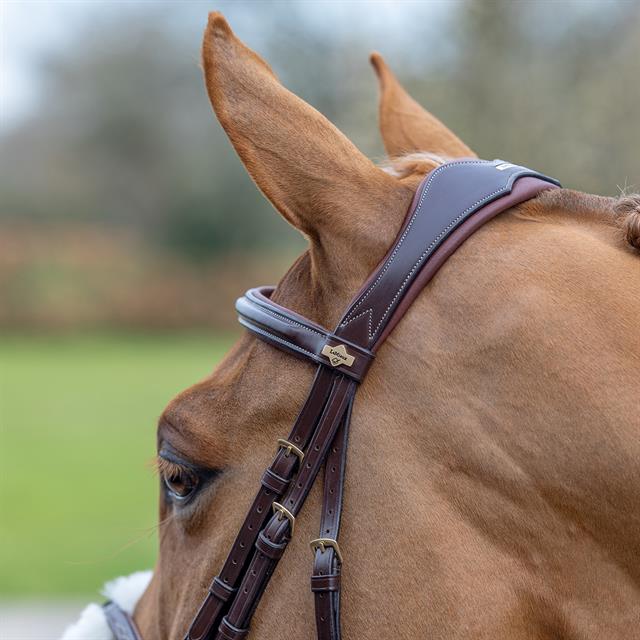 Bridle LeMieux Work Brown