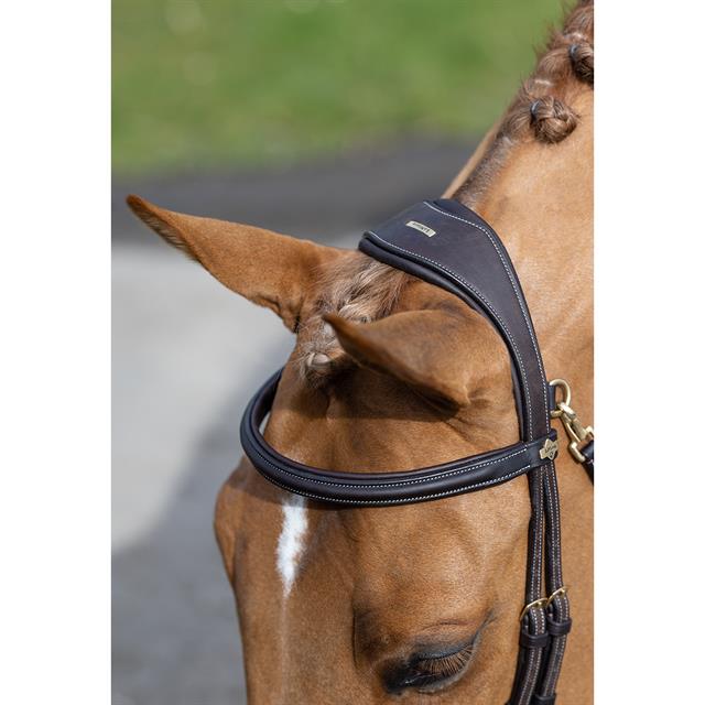 Bridle LeMieux Work Brown