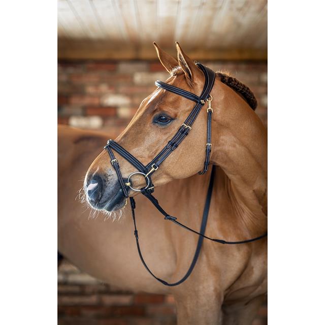 Bridle LeMieux Work Brown