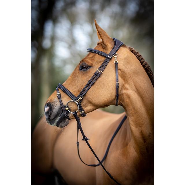 Bridle LeMieux Work Brown