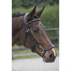 Bridle LJ Leathers Pro Selected Legacy Polidor Black