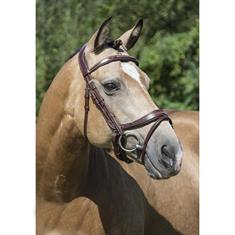 Bridle LJ Leathers Pro Selected Legacy Primus Brown