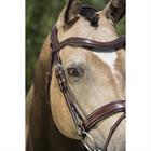 Bridle LJ Leathers Pro Selected Legend Gotha Brown