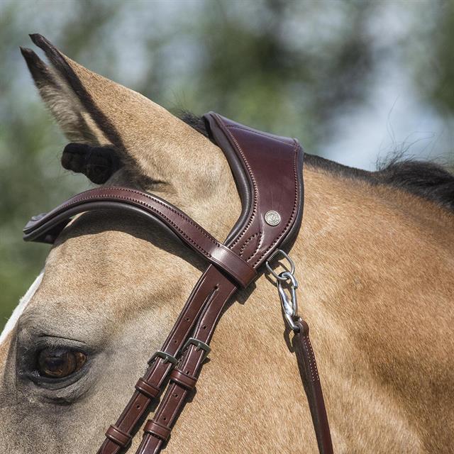 Bridle LJ Leathers Pro Selected Legend Gotha Brown