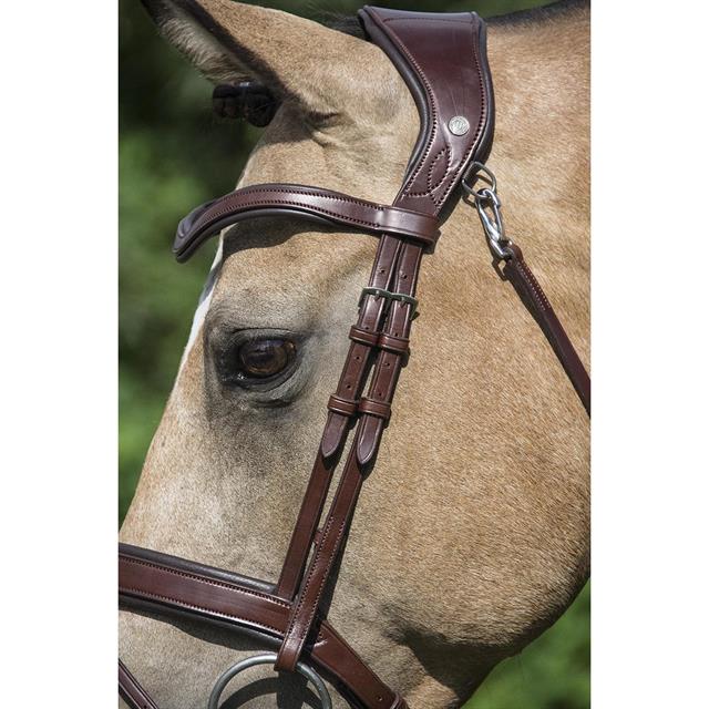 Bridle LJ Leathers Pro Selected Legend Gotha Brown