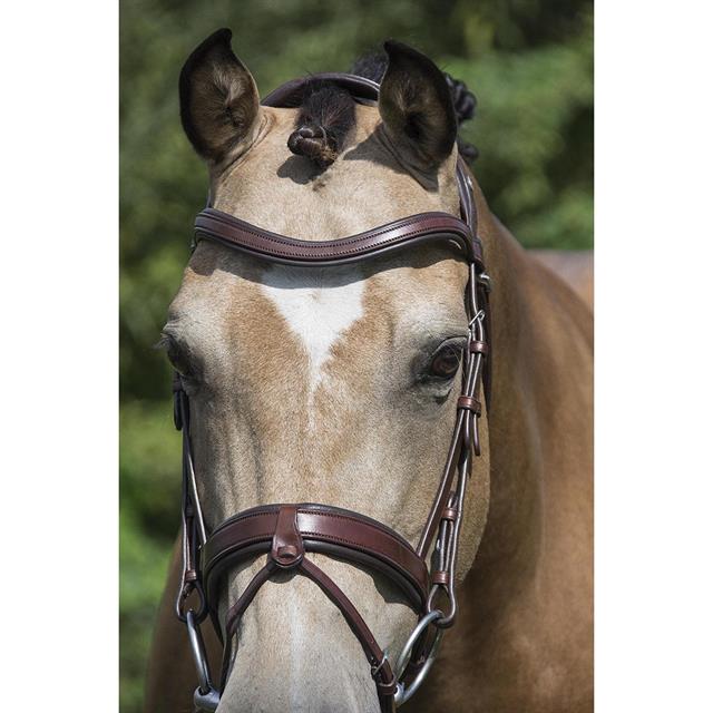 Bridle LJ Leathers Pro Selected Legend Gotha Brown