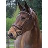 Bridle LJ Leathers Pro Selected Legend Gotha Brown