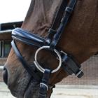 Bridle Montar Fair Black