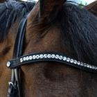 Bridle Montar Fair Black