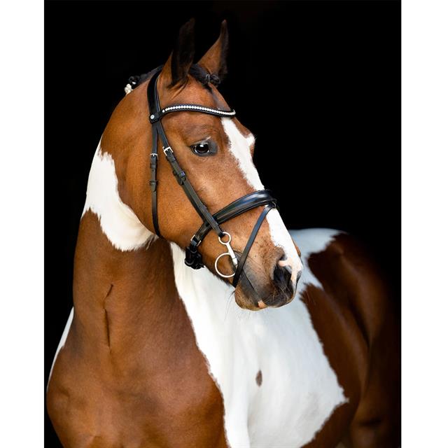 Bridle Montar Fair Black