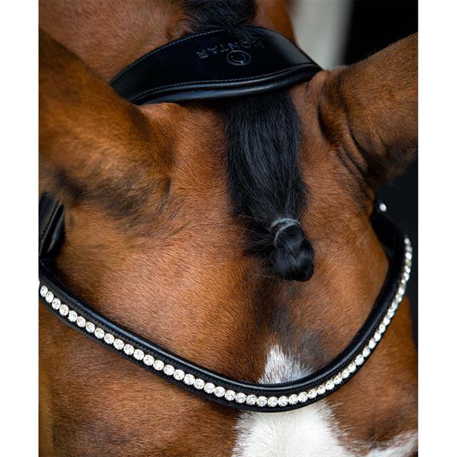 Bridle Montar Fair Black