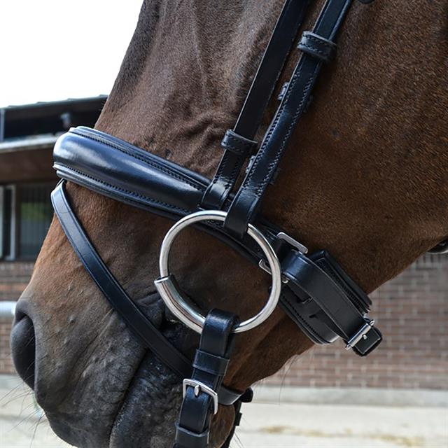 Bridle Montar Fair Black