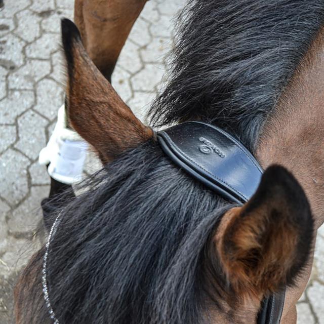 Bridle Montar Fair Black