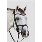 Bridle Montar Monarch Brown