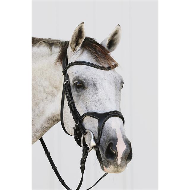 Bridle Montar Monarch Brown