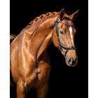 Bridle PresTeq FaySport Glitter Black