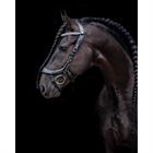 Bridle PresTeq FaySport Glitter Black