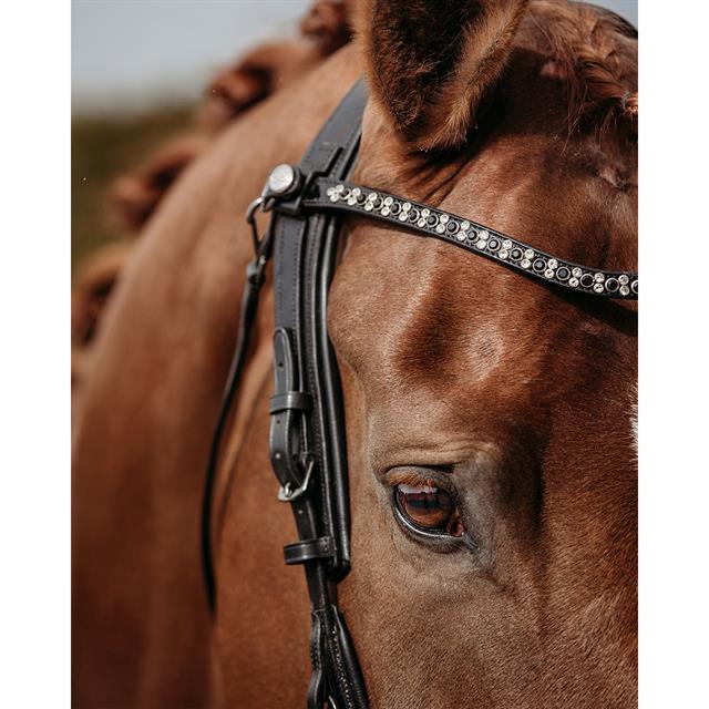 Bridle PresTeq FaySport Glitter Black