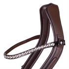 Bridle PresTeq FaySport Glitter Brown