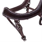 Bridle PresTeq FaySport Glitter Brown