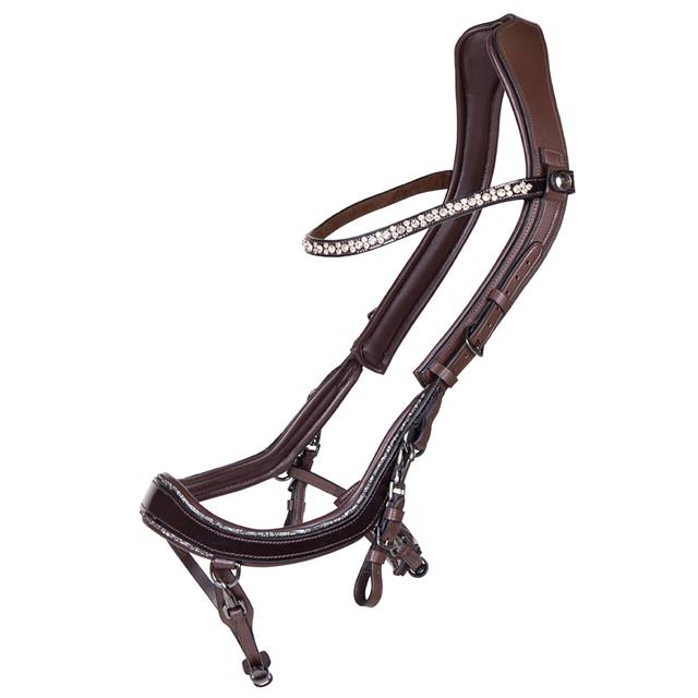 Bridle PresTeq FaySport Glitter Brown