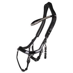 Bridle PresTeq FaySport Shine Black