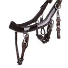 Bridle PresTeq FaySport Shine Brown