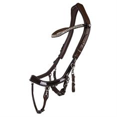 Bridle PresTeq FaySport Shine Brown