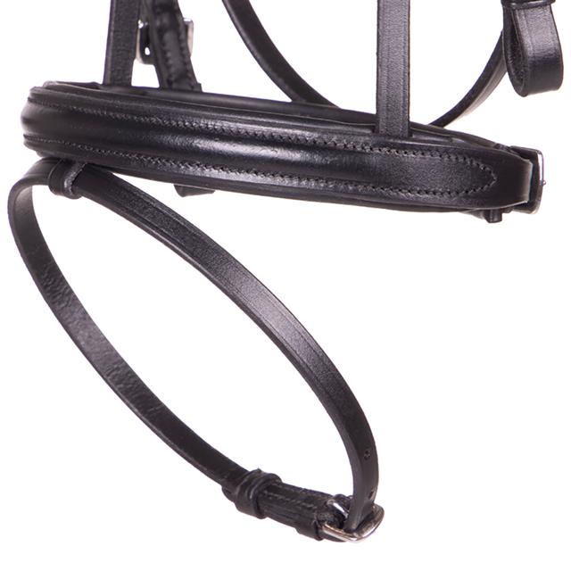 Bridle QHP Beli Black