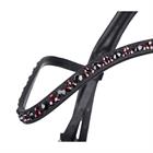 Bridle QHP Chianti Black-Red